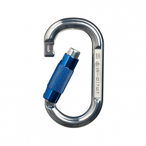 Ver 0221 Карабин овал алюминиевый автомат (Keylock) Vertical C в Москве 0