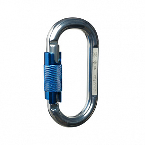 Ver 0221 Карабин овал алюминиевый автомат (Keylock) Vertical C в Москве 1